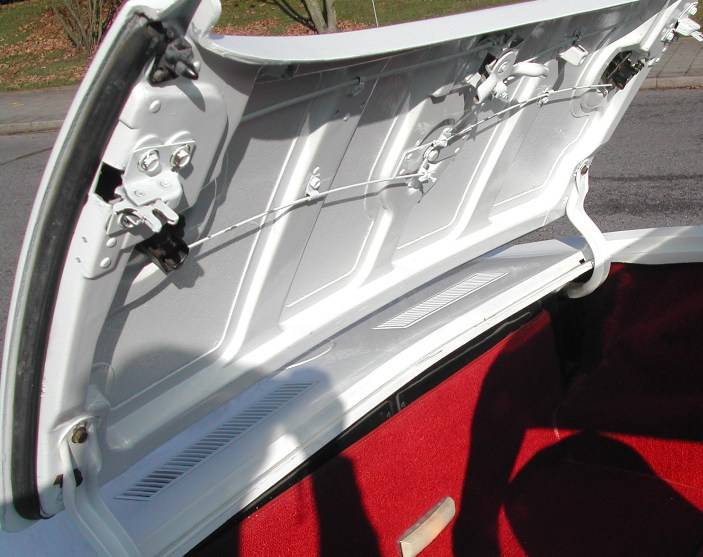 MARTINSRANCH 72 Stingray white red (11) 